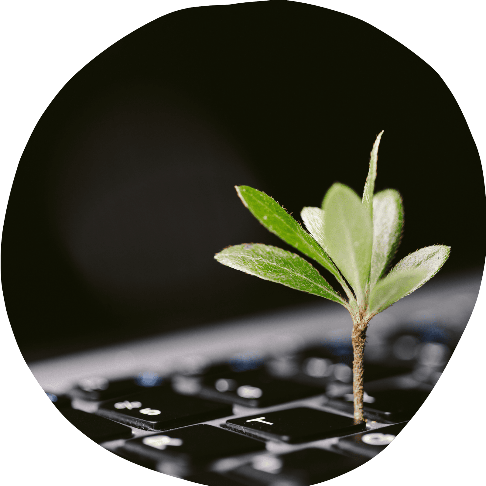 The Journey Behind Restart Hat: A Personal Reflection on Innovation and Sustainability